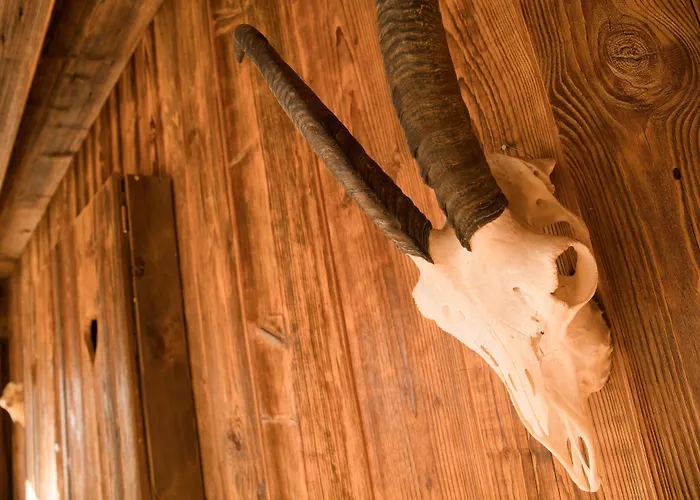 Zur Schoenen Aussicht Garni