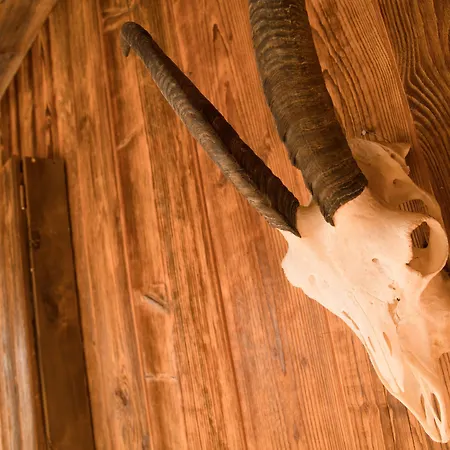 Zur Schoenen Aussicht Garni