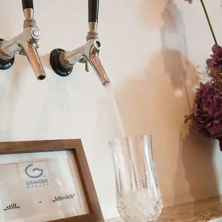 Zur Schoenen Aussicht Garni Guest house 3*